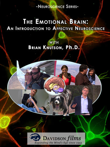 The Emotional Brain: An Introduction to Affective Neuroscience With Brian Knutson, Ph.D.