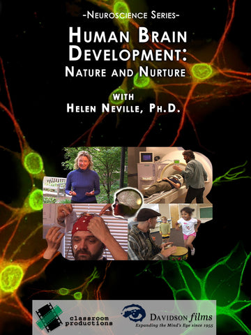 Human Brain Development: Nature and Nurture With Helen Neville, Ph.D.