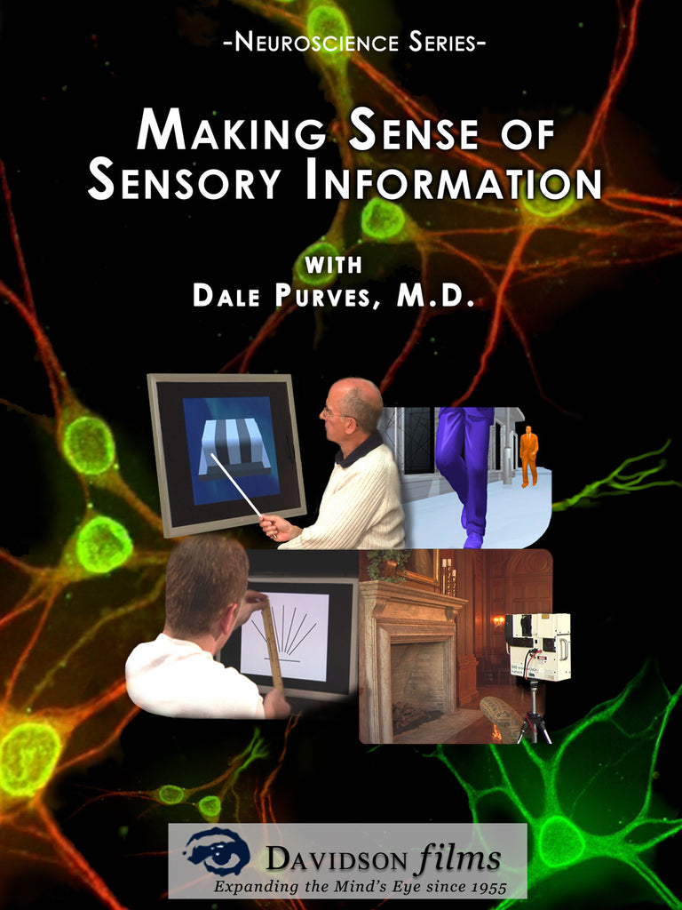Making Sense of Sensory Information With Dale Purves, Ph.D.